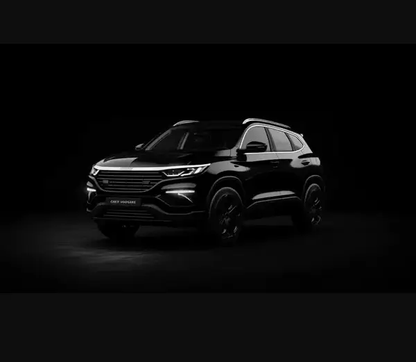 VIP City Limousine